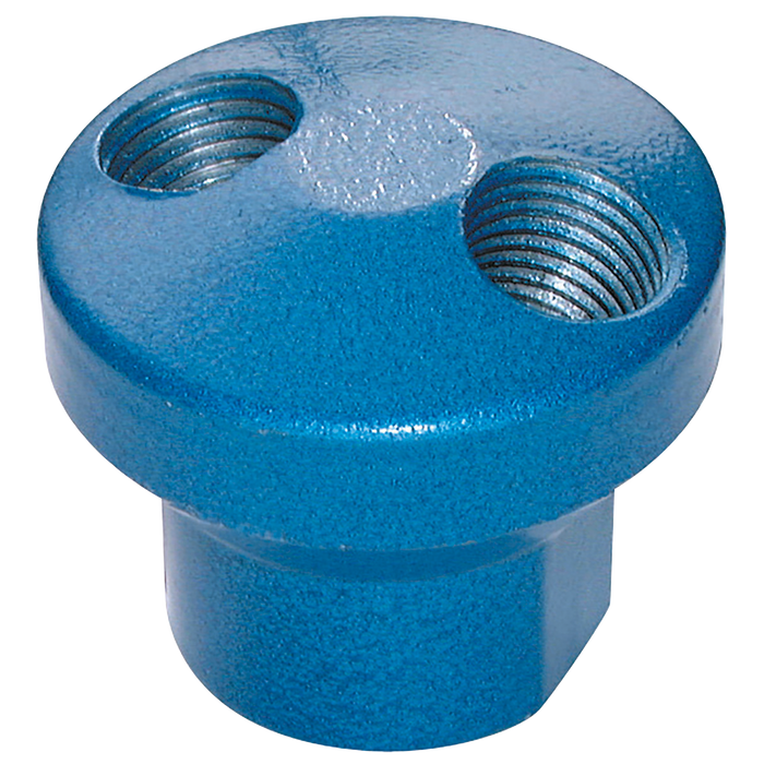 1/4" Bsp Double Outlet Manifold