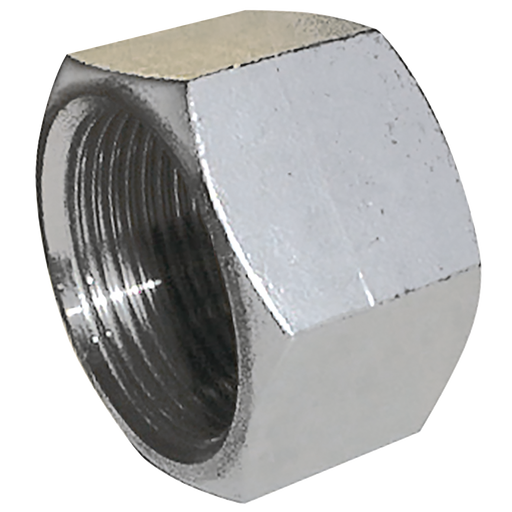 1/4" Bsp Fem Hex Blank Cap 316 S/Steel