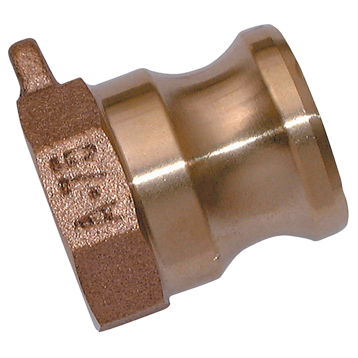 Camlock 2" Bspp Fem Plug Type A Brass