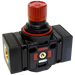 3/4" Regulator Bsp Parallel Female