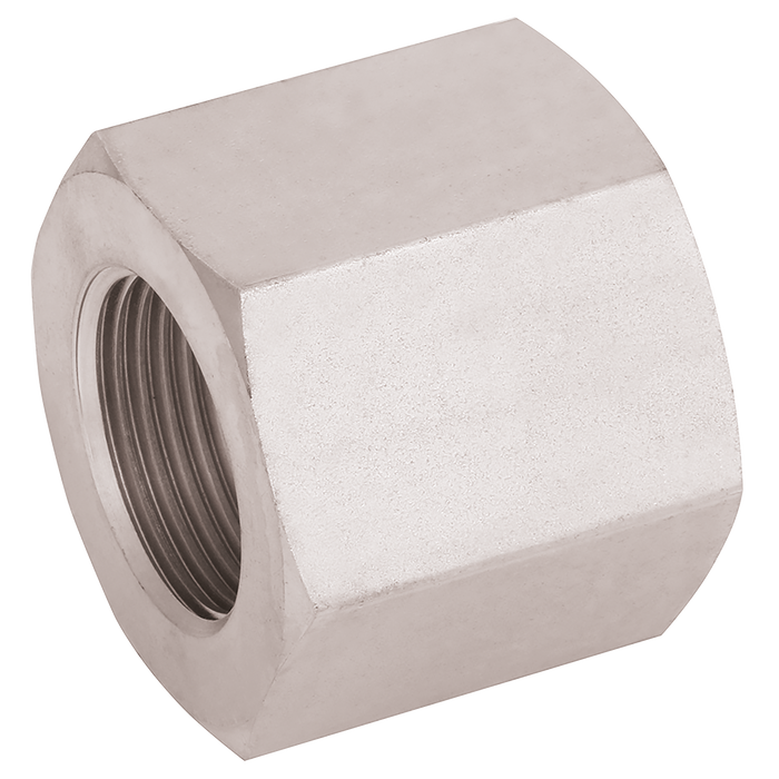 1" Bsp X 1" Bsp Female/Female