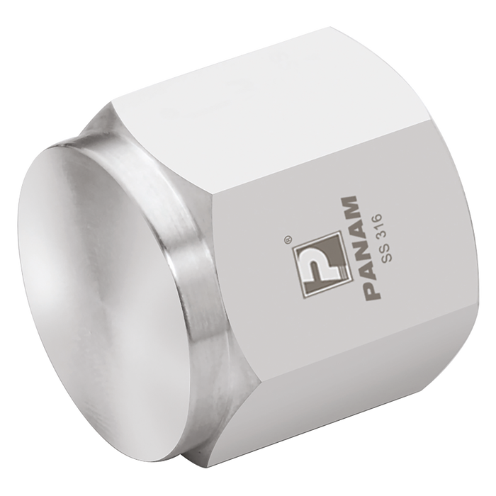 1" Npt Female 316 Pipe Cap