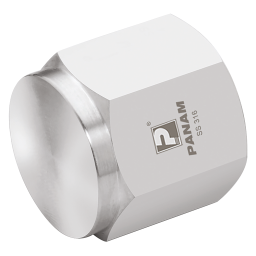 1/2" Npt Female 316 Pipe Cap