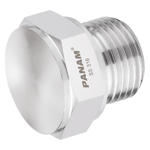 1 Bspp 10Kpsi 316 Plug
