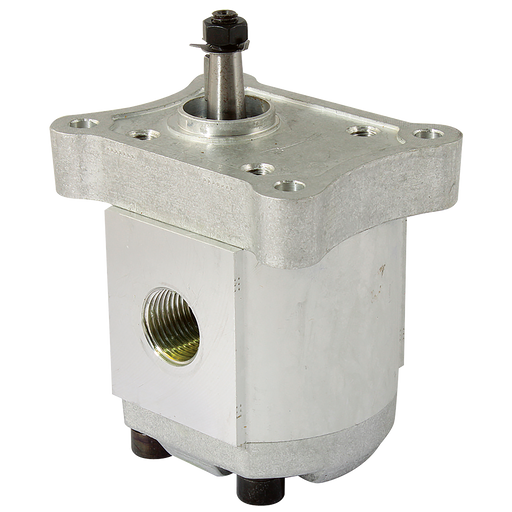 1/2" Bsp Parallel Female Group 1 Gear Pump