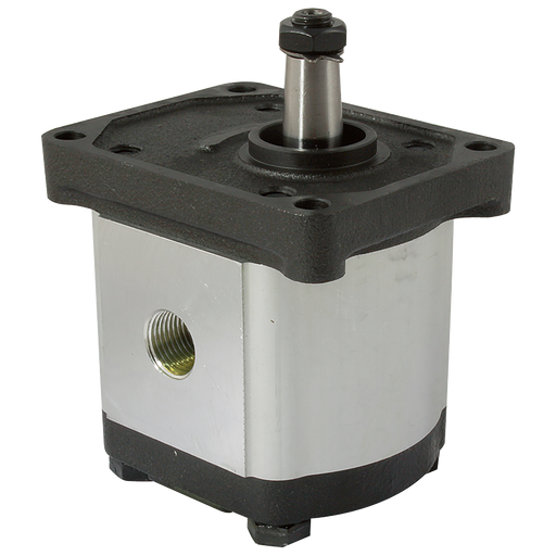 3/4" Bsp Parallel Female Group 2 Gear Pump
