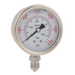 1/4"Bspp 63Mm Bottom Gly Gauge 0-15Psi