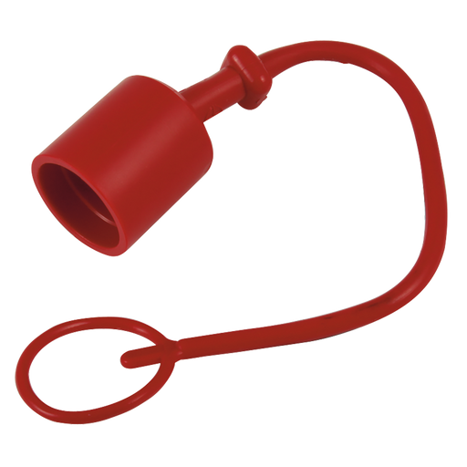 Dust Protection To Suit Plug