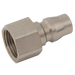 1/4" Bspp Female Plug