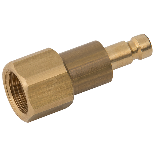 1/8" Bspp Female Plug