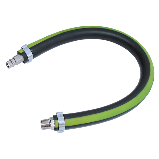 3/8" Bspt Male Leader Hose