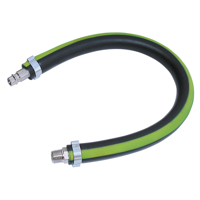 3/8" Bspt Male Leader Hose