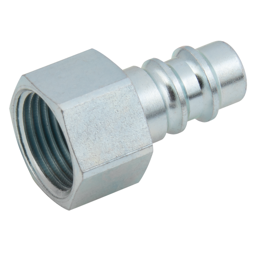 1/4" Bspp Female Plug