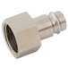 3/4" Bspp Female Plug