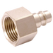 1/2" Female Plug Bspp
