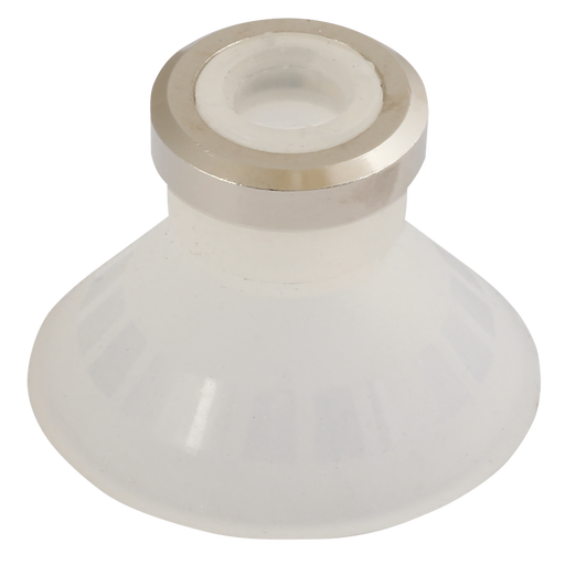 25Mm Deep Silicon Cup