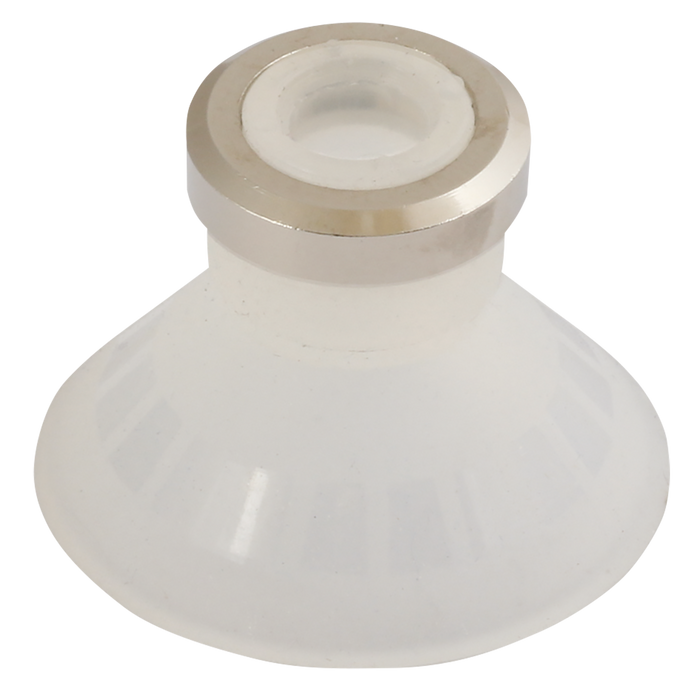 25Mm Deep Silicon Cup
