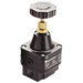 1/4" Regulator Bspp