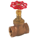2" Bsp Fem Gunmetal Globe Valve