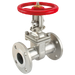 3" Ansi150 St/St Gate Valve