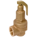 3/4"X1" 4.0 Bar Highlift Safety Valve