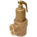 1" 3.5 Bar Safety Relief Valve