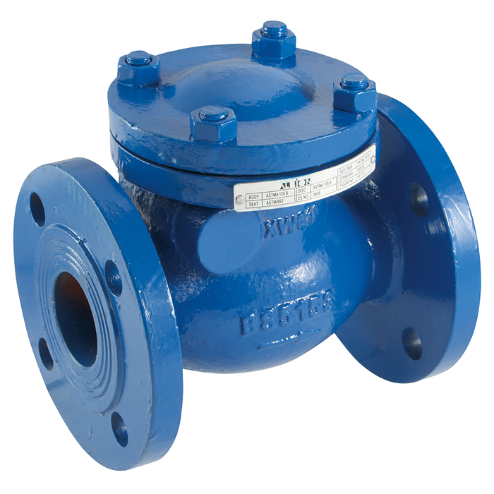 2 1/2" Art170 Pn16 C/I Swing Check