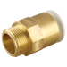 15Mm X 1/2" Brass Male Coupler