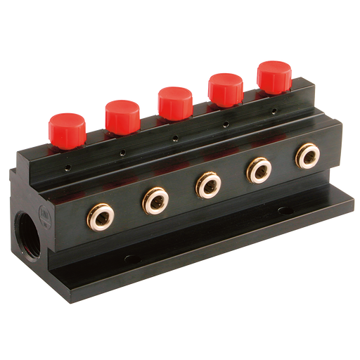 1/2" Bspp In X 10 Way 6Mm Push-In Out