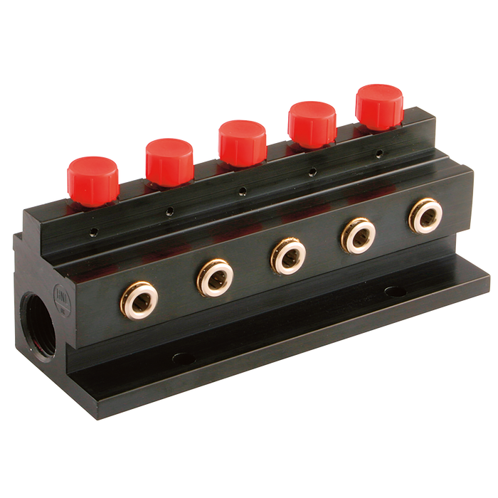 1/2" Bspp In X 10 Way 6Mm Push-In Out