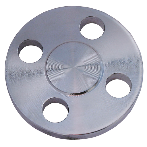 1" Blind 150Lb 316 Flange Bs4504