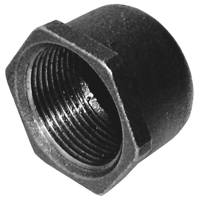 2" Bspt Female Blank Cap Fig185 Black
