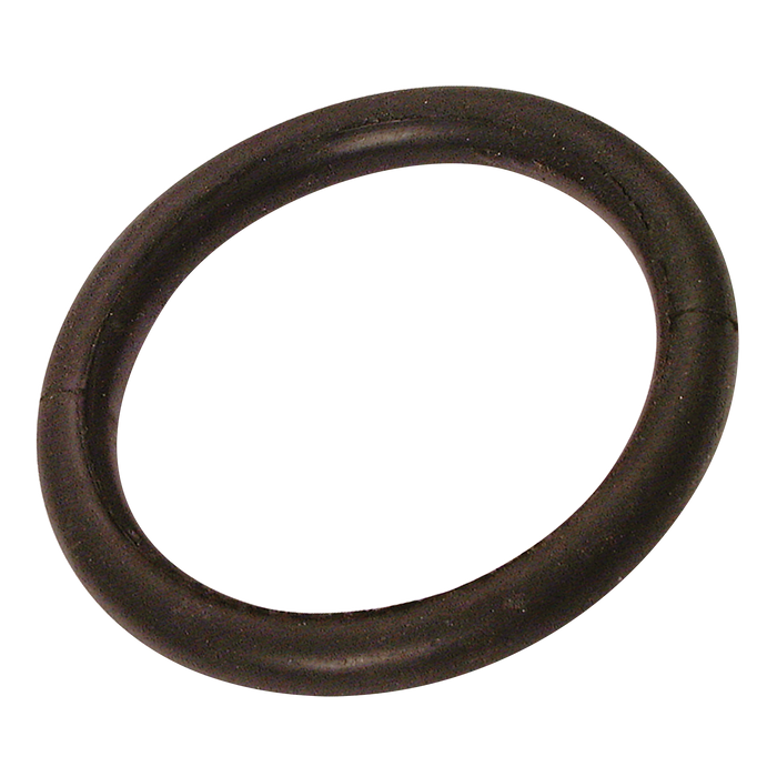 Oil Resistant O Ring 2"