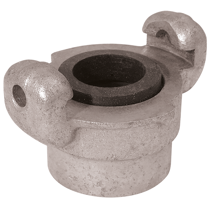 Qac2 Claw Coupler 3/4" Bsp Fem Plated