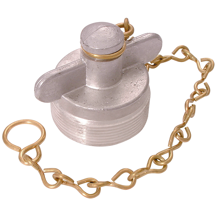 3" Bspp Alloy Blank Plug And Chain