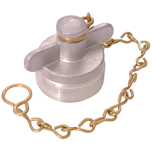 2" Bspp Alloy Blank Plug And Chain