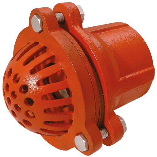 2.1/2" Bspp Malleable Iron Foot Valve