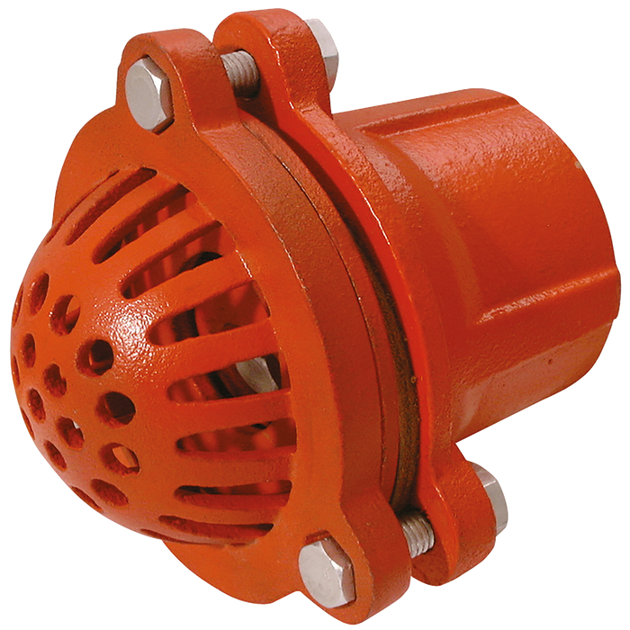 4" Bspp Malleable Iron Foot Valve