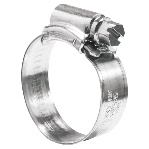 Worm Drive Clip Steel 22X30Mm (1A)