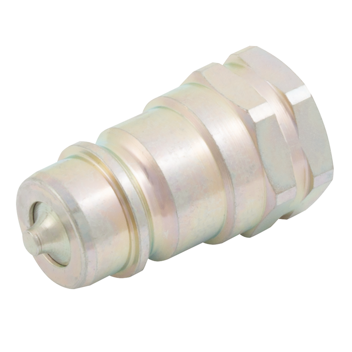 1/2" Bsp Parallel Female Plug