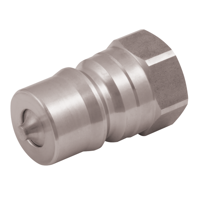1/8" Bsp Parallel Female Plug