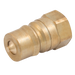 2" Bsp Parallel Female Plug