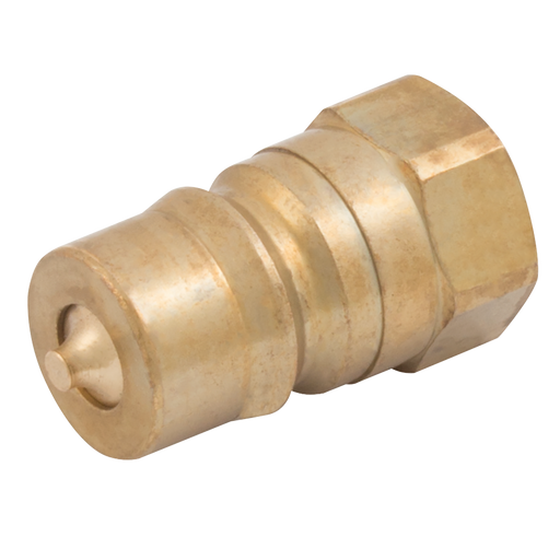 3/4" Bsp Parallel Female Plug