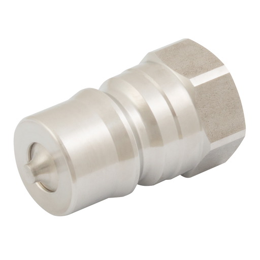 3/4" Bsp Parallel Female Plug