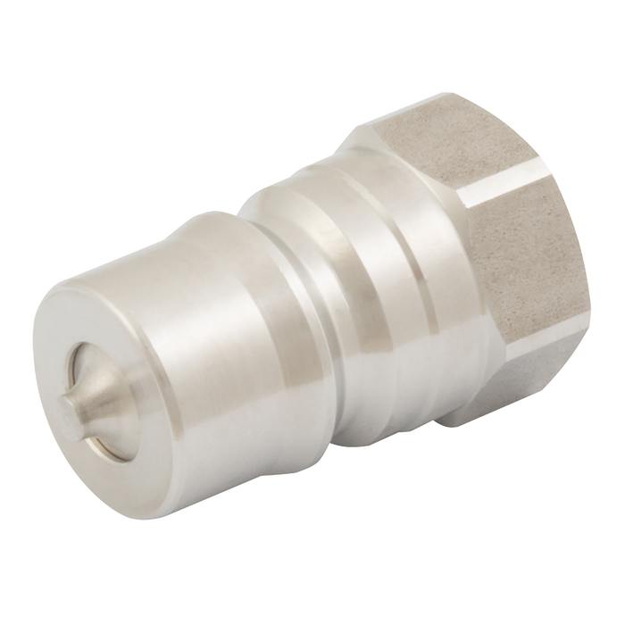 1" Bsp Parallel Female Plug
