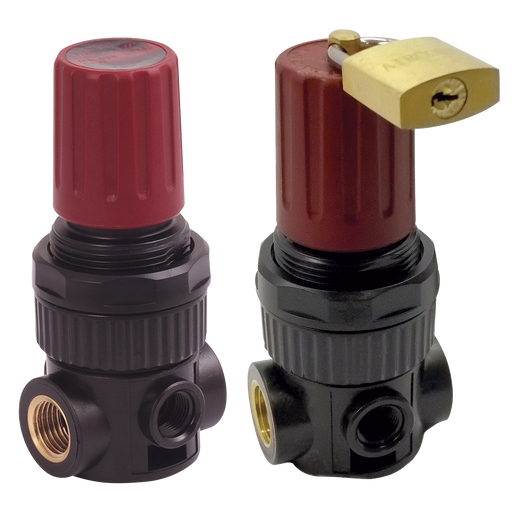 1/4" Regulator Bsp Parallel Female