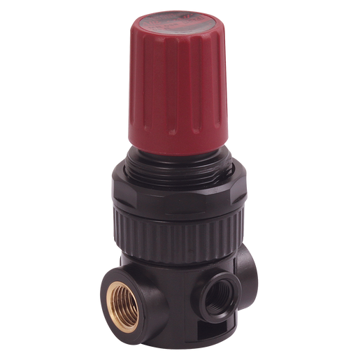 1/4" Regulator Bsp Parallel Female