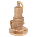 3" Pn16 Safety Valve 6Bar