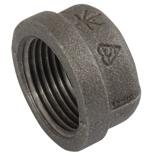 (Bs Fig185) Bspt End Cap 1 Blk