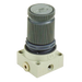 "Pilot Regulator 400 Series G1/4"" 8 Bar"